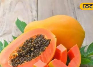 सर्दियों में जरूर खाएं ये फल, खूब मिलेगा प्रोटीन-विटामिन, चमक उठेगा चेहरा! – Bharat.one हिंदी