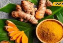 चेहरे पर जादुई निखार लाती है कच्ची हल्दी, इस तरह करें इस्तेमाल, फिर हर कोई पूछेगा ‘Glowing Skin’ का राज – Bharat.one हिंदी