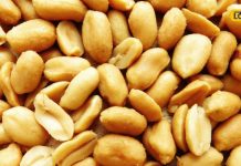 ये है गरीबों का 'बादाम’, हार्ट की बीमारी और कैंसर का माना जाता है काल