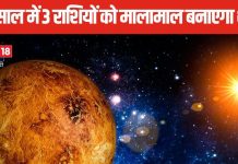 28 जनवरी से 20 दिसंबर 2025 तक, 10 बार गोचर करेगा शुक्र, नए साल में 3 लकी राशियों को मिलेगा अपार धन!