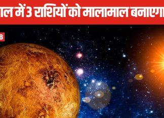 28 जनवरी से 20 दिसंबर 2025 तक, 10 बार गोचर करेगा शुक्र, नए साल में 3 लकी राशियों को मिलेगा अपार धन!
