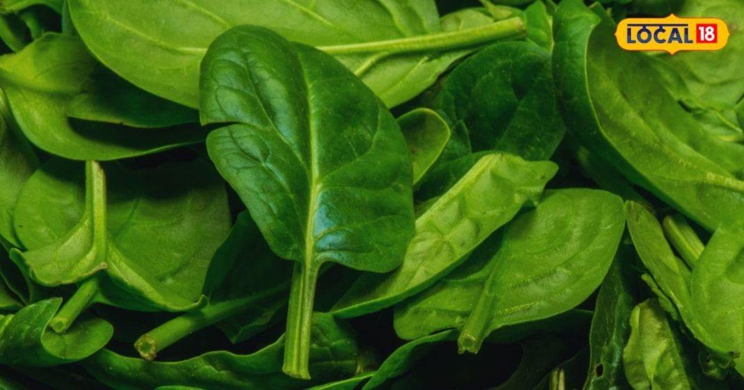 वजन घटाना हो या हड्डियों को बनाना हो मजबूत, ये हरी पत्तेदार सब्जी करेगी हर…