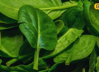 वजन घटाना हो या हड्डियों को बनाना हो मजबूत, ये हरी पत्तेदार सब्जी करेगी हर…
