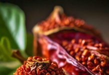 cancer treatment claimed using achiote bixin natural way sa – Bharat.one हिंदी