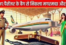 Airport: तलाशी के लिए खोली पैसेंजर के बैग की चेन, अंदर का नजारा देख कांपने लगे हाथ-पैर, निकला मगरमच्छ और…