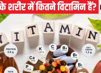 आपकी बॉडी को हर दिन चाहिए 13 विटामिन, क्या हैं इनके काम और किस चीज से मिलेगी ये, यहां जानिए सभी के बारे में