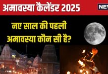 Amavasya 2025 List: कब है नए साल की पहली अमावस्या? नववर्ष में होंगे 2 शनि अमावस्या, देखें सालभर की पूरी लिस्ट