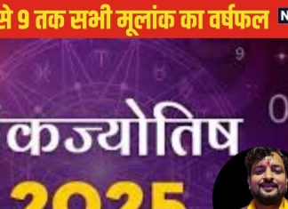 Annual Numerological Prediction 2025: नए साल का अंक ज्योतिष, जानिए मूलांक 1 से 9 तक के जातकों के लिए कैसा रहेगा 2025