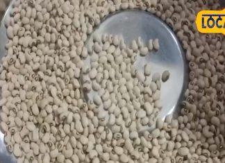 सर्दियों में एनर्जी का पावरहाउस है ये दाल, बॉडी बिल्डिंग के लिए पाउडर से भी ज्यादा फायदेमंद! जानें गुण