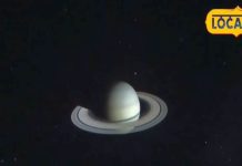 Dhanu Rashifal: प्रेम का चक्कर इस राशि वालों पर पड़ेगा भारी, इन कार्यों में मिल सकती है सफलता, जान लें योग