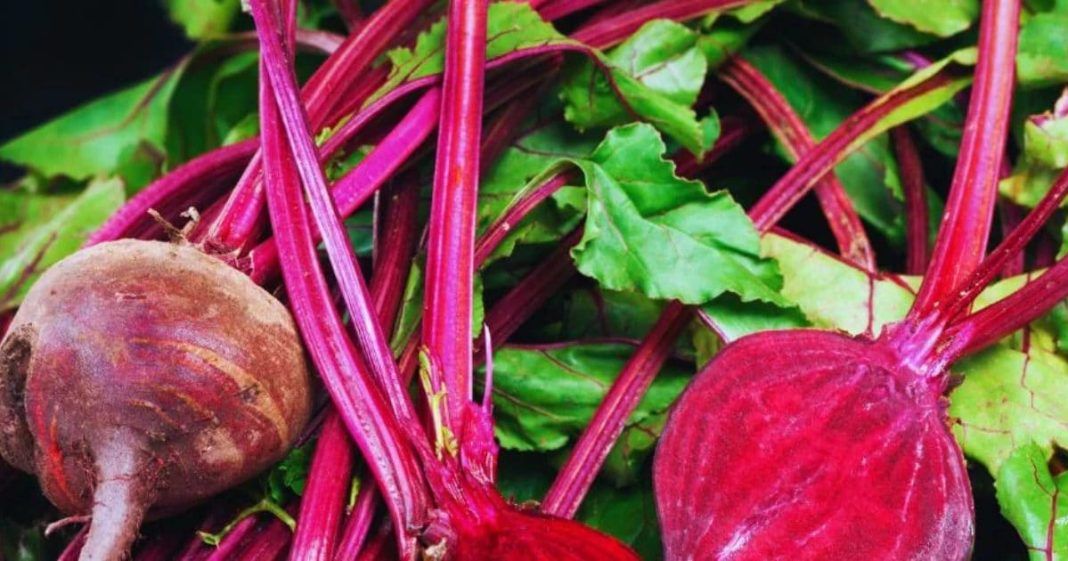 skincare how to make diy beetroot lip cheek tint sa