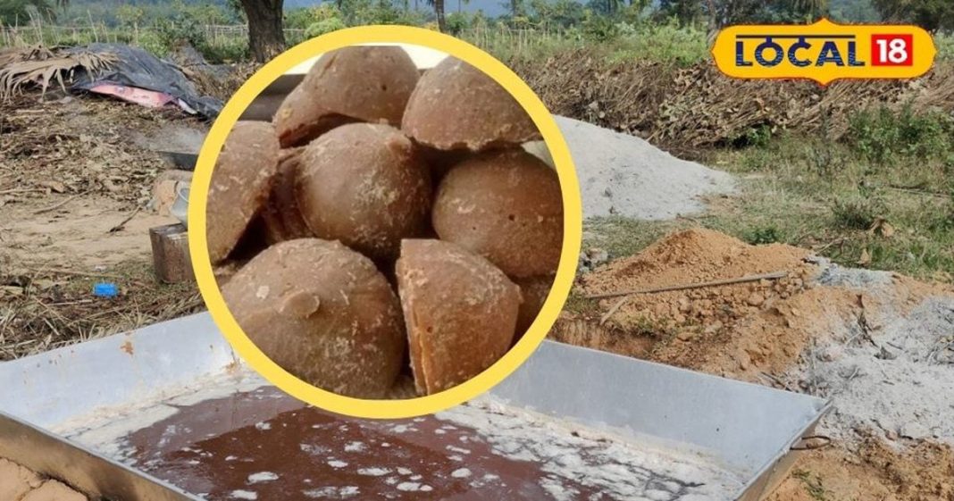 खजूर का गुड़…खाने में जितना मीठा, बनाने में उतना ही कठिन, Video में देखिए पूरा प्रोसेस