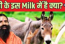 बाबा रामदेव ने जवानी के लिए अपनाया गधी का दूध! कितना पावरफुल है ये Milk, जानें क्या कहता है विज्ञान