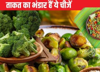 बॉडी में जबर्दस्त ताकत चाहिए तो प्रोटीन से भरे इन 6 फूड का कीजिए सेवन, कैलोरी भी नहीं बढ़ेगी और वजन भी कम होगा