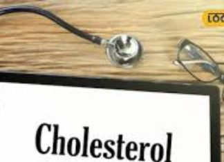 सर्दियों में खाएं यह चमत्कारी चीजें! नसों में भरी कोलेस्ट्रॉल जैसी सारी गंदगी निकाल देगी बाहर, हार्ट की मसल बनेंगी मजबूत