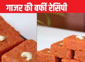 इस बार सर्दियों में मुंह मीठा करें इस सब्जी से बनी बर्फी से, भूल जाएंगे गाजर के हलवे का स्वाद, बनती है झटपट