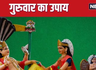 Guruwar Upay: गुरुवार को करें बस यह एक उपाय, श्रीहरि विष्णु का मिलेगा आशीर्वाद, पूरी होंगी आपकी मनोकामनाएं