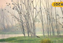 people-going-to-murthal-from-delhi-to-eat-parathas-can-also-visit-these-nearby-places – Bharat.one हिंदी