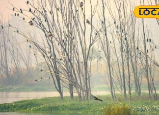 people-going-to-murthal-from-delhi-to-eat-parathas-can-also-visit-these-nearby-places – Bharat.one हिंदी