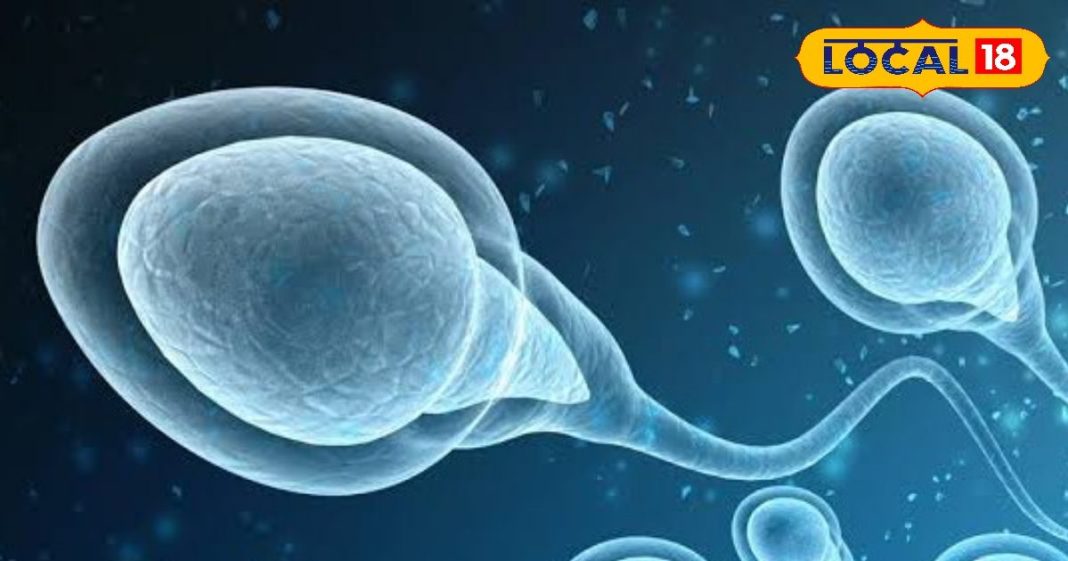 फोन की लत से क्या है नि:संतानता का कनेक्शन? विशेषज्ञों से जानें शुक्राणुओं में कमी का असली कारण…