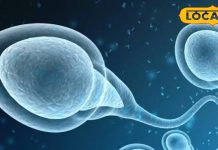 फोन की लत से क्या है नि:संतानता का कनेक्शन? विशेषज्ञों से जानें शुक्राणुओं में कमी का असली कारण…