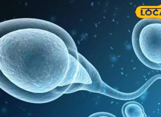 फोन की लत से क्या है नि:संतानता का कनेक्शन? विशेषज्ञों से जानें शुक्राणुओं में कमी का असली कारण…