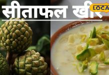 Desert From Fruit: इस फल से बनाएं खीर, शरीर में भर देगी ताकत, स्वाद भी बेजोड़, फटाफट नोट कर लें रेसिपी