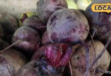 छू भी नहीं पाएगा कैंसर, दिल बन जाएगा बलवान…सर्दियों में इस चीज का करें सेवन, शरीर में बढ़ जाएगा खून!