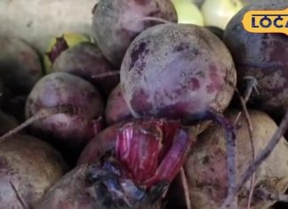 छू भी नहीं पाएगा कैंसर, दिल बन जाएगा बलवान…सर्दियों में इस चीज का करें सेवन, शरीर में बढ़ जाएगा खून!