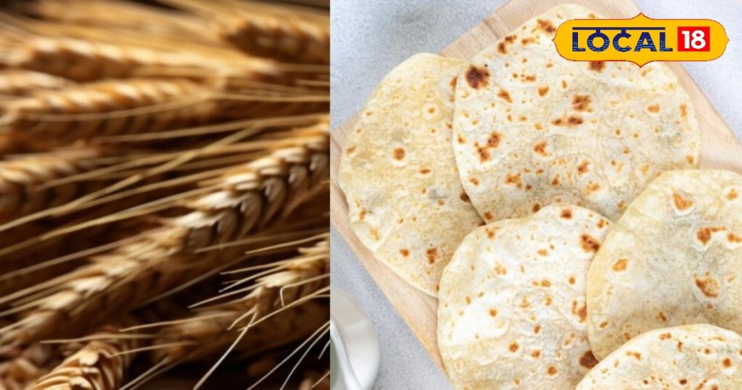 सर्दियों में जौ की रोटी खाने के हैं गजब फायदे… वजन होगा कंट्रोल, कब्ज होगी दूर