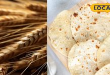 सर्दियों में जौ की रोटी खाने के हैं गजब फायदे… वजन होगा कंट्रोल, कब्ज होगी दूर