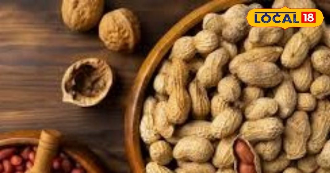 खतरनाक भी है मूंगफली, सर्दी में रोज खाते हैं तो इतने ग्राम ही खाएं..वरना पाचन, त्वचा, सांस सबमें होगी तकलीफ