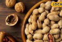 खतरनाक भी है मूंगफली, सर्दी में रोज खाते हैं तो इतने ग्राम ही खाएं..वरना पाचन, त्वचा, सांस सबमें होगी तकलीफ