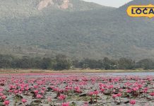 कश्मीर की डल झील को टक्कर देती है… झारखंड की डिमना लेक, ये नजारा देख बना लेंगे घूमने का प्लान, Video