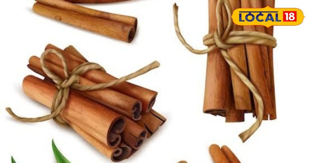 कई बीमारियों का बाप है ये लकड़ी वाला मसाला, शरीर को मिलेंगे अनेक फायदे