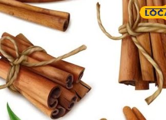 कई बीमारियों का बाप है ये लकड़ी वाला मसाला, शरीर को मिलेंगे अनेक फायदे