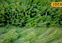 बाजार में दिखने लगी यह नायाब हरी सब्जी, प्रोटीन, फाइबर और आयरन का है भंडार, सेहत को रखेगा निरोग