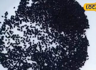 औषधीय गुणों का भंडार है यह भारतीय मसाला, हर मर्ज की दवा के तौर पर है पहचान