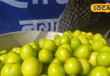 यह है ‘गरीबों का सेब’, स्वाद के साथ खाने के गजब फायदे, इन बीमारियों को रखता है दूर, 2 महीने रहता है सीजन