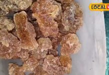 Health Tips: चमत्कार से कम नहीं है बबूल का गोंद, डायबिटीज समेत मानसिक तनाव हो जाता है छूमंतर, ऐसे करें इस्तेमाल