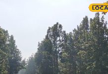 Road Trip: भूल जाइये उत्तराखंड व हिमांचल… अब हजारीबाग में लीजिए सड़क यात्रा का मजा, अद्भुत है इस रोड का नजारा