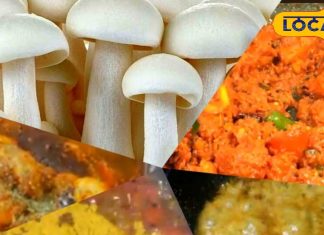 Delicious Masala Mushroom Recipe Know How To Make Aromatic And Delicious Vegetable Dish – Bharat.one हिंदी