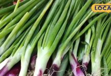 1000 दवाओं की बाप है ये सब्जी…कब्ज-कोलेस्ट्रॉल से दिलाए छुटकारा, दिल को बनाए बलवान! लंबी है फायदों की लिस्ट