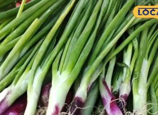 1000 दवाओं की बाप है ये सब्जी…कब्ज-कोलेस्ट्रॉल से दिलाए छुटकारा, दिल को बनाए बलवान! लंबी है फायदों की लिस्ट