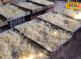 Famous Murabba: महीनों तक खराब नहीं होता ये मुरब्बा, खास तरीके से होता है तैयार, रोज सुबह खाकर सेहत बनाते हैं लोग!