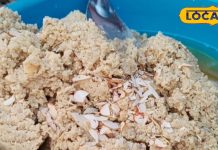 सर्दियों में शरीर में जान फूंक देगा ये अनोखा हलवा, राजा महाराजाओं के जमाने से है फेमस, 100% की शुद्धता से होता है तैयार