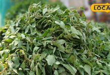 This greens is a precious gift of health and taste in winters. It is available only in winters – Bharat.one हिंदी