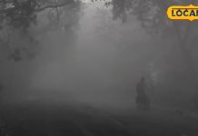 ठंड के मौसम में सुबह रखें इन 8 छोटी बातों का ध्यान… सर्दी-जुकाम, बुखार से मिलेगी मुक्ति