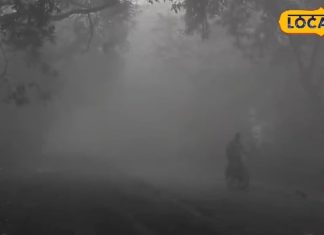 ठंड के मौसम में सुबह रखें इन 8 छोटी बातों का ध्यान… सर्दी-जुकाम, बुखार से मिलेगी मुक्ति