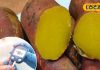Diabetes Remedy: शुगर के मरीजों के लिए रामबाण है ये नुस्खा, दादी-नानी के समय से हो रहा इस्तेमाल